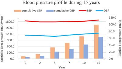 Intensity of hypertensive exposure in young adulthood and subclinical atherosclerosis in middle age: Evidence from the CARDIA study